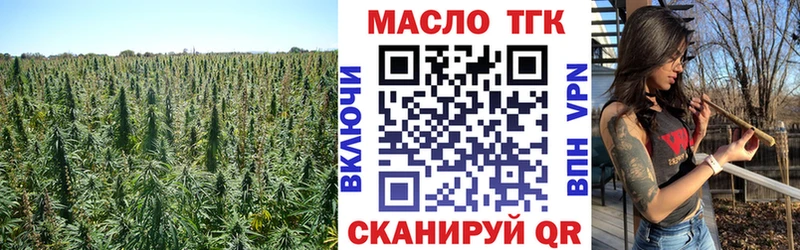 ТГК Wax  Купить закладки  Новочебоксарск 